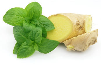Gyömbér, menta, az összetevők